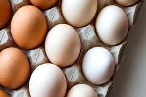 como conservar ovos