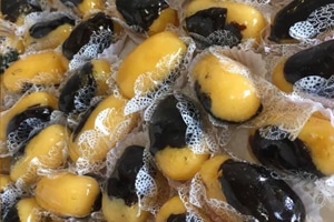 olho de sogra receita