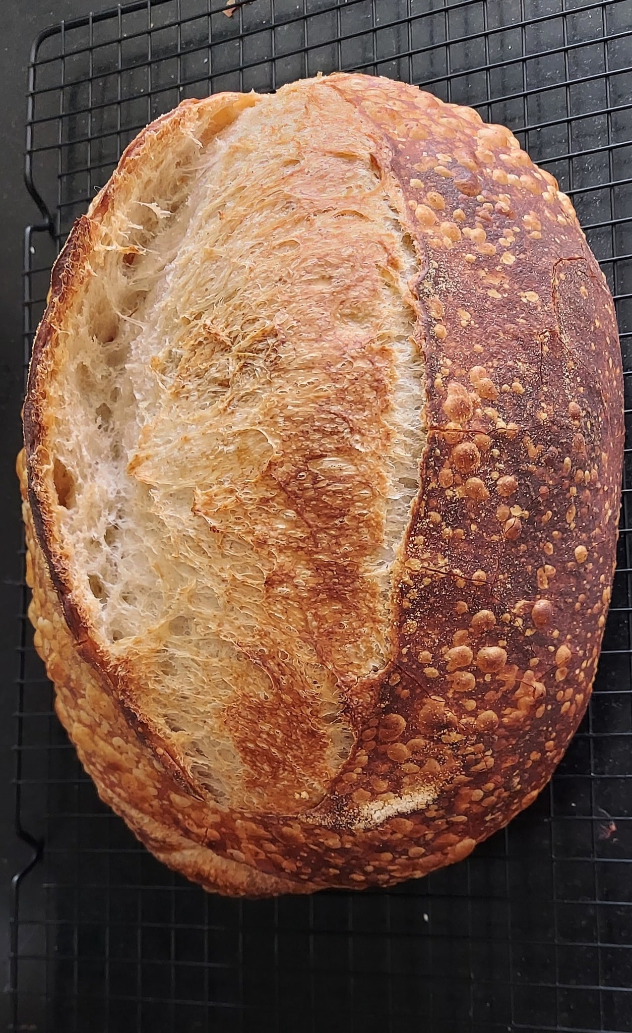 pão rustico