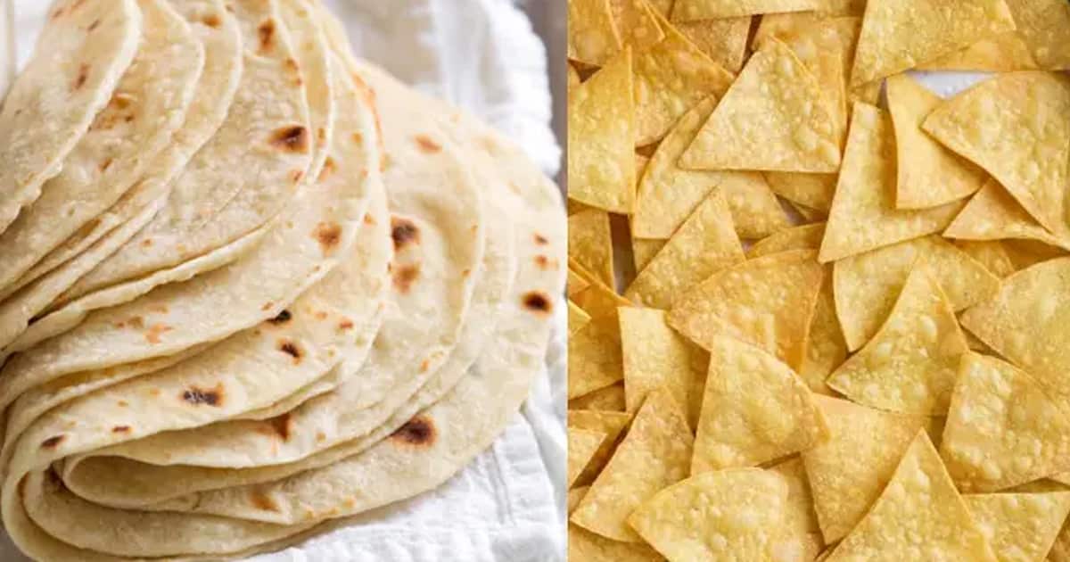 Massa de milho para tortilhas e nachos Confeiteira
