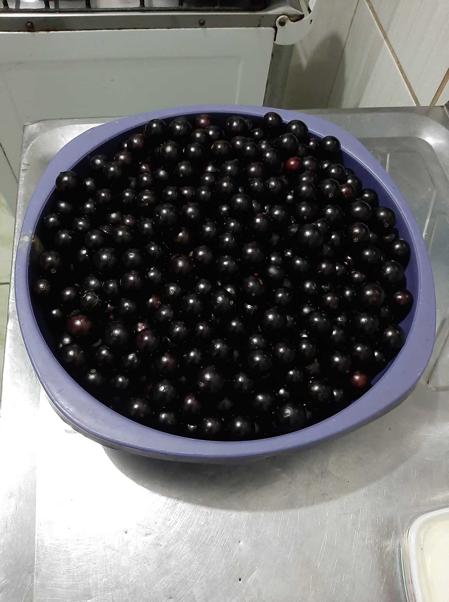 jabuticaba