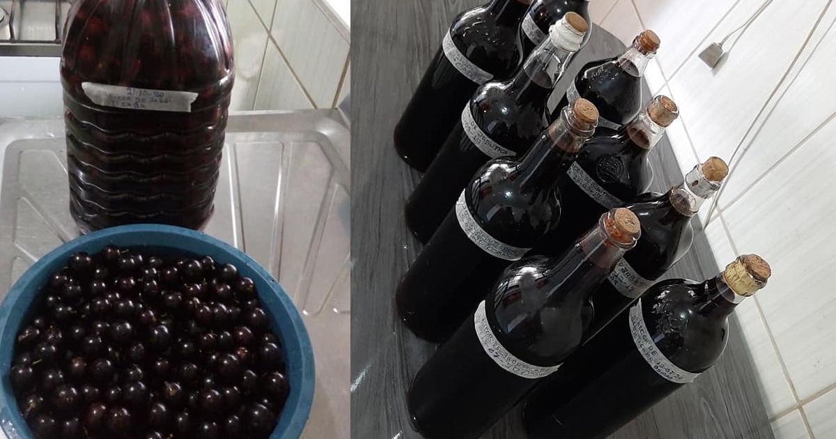 Receita de Licor de jabuticaba